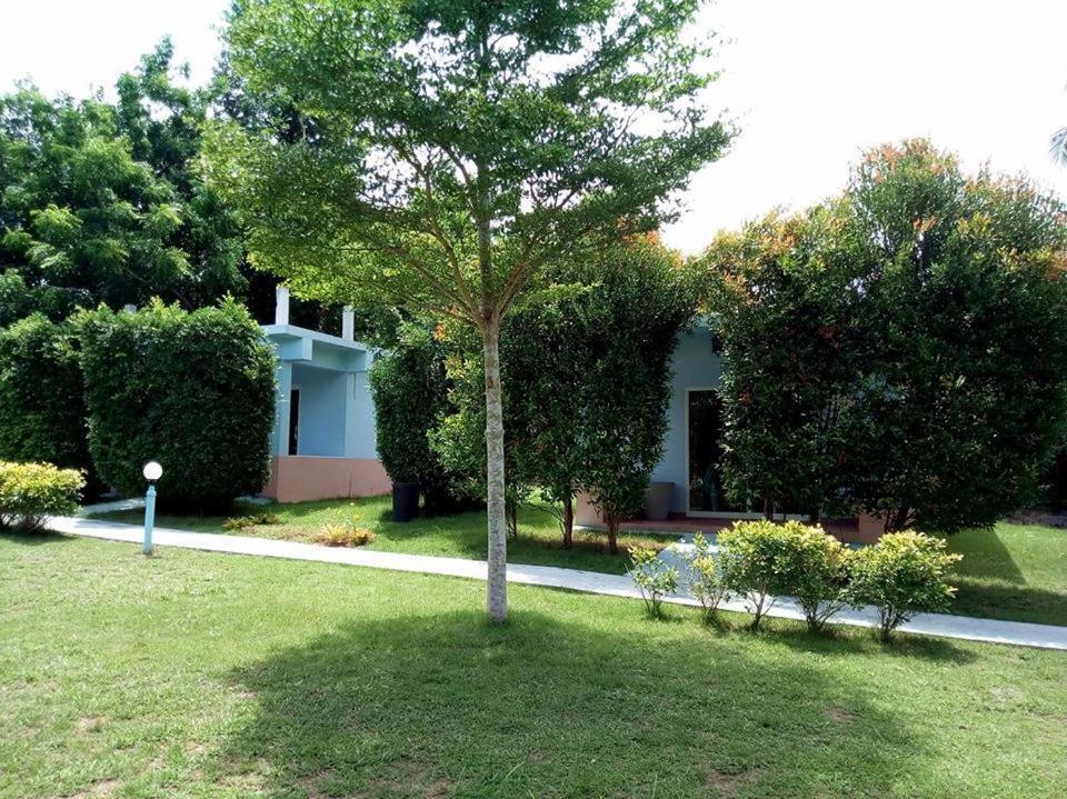 Atmyhomestay Bangsaphan Bang Saphan Ngoại thất bức ảnh